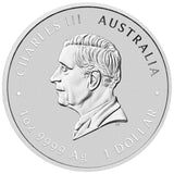 Quokka 2024 1oz Silver Bullion Coin