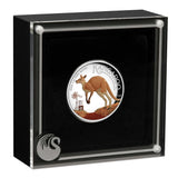 Kangaroo 2024 1oz Silver Proof High Relief Coloured Coin