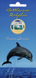 2006 $1 Ocean Series Bottlenose Dolphin Coloured Uncirculated Coin in Card