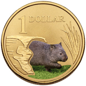 2008 $1 Land Series Wombat Coloured Uncirculated Coin