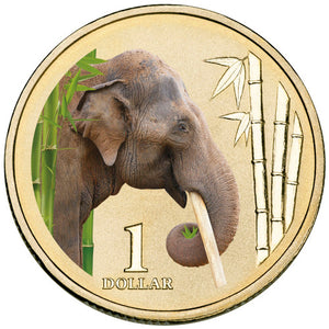 2012 $1 Animals of The Zoo Asian Elephant Coloured Uncirculated Coin