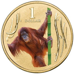 2012 $1 Animals of The Zoo Orang-Utan Coloured Uncirculated Coin