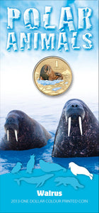 2013 $1 Polar Series Walrus Coloured Uncirculated Coin