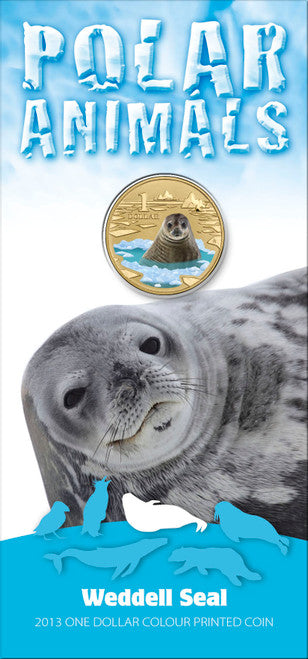 2013 $1 Polar Series Weddell Seal Coloured Uncirculated Coin