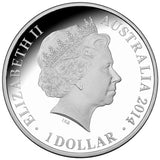 2014 $1 New Years Eve Sydney Fireworks 1oz Silver Holographic Proof Coin