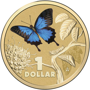 2014 $1 Bright Bug Ulysses Butterfly Uncirculated Coin