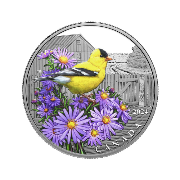 2024 $20 Fine Silver Coin - Colourful Birds: American Goldfinch