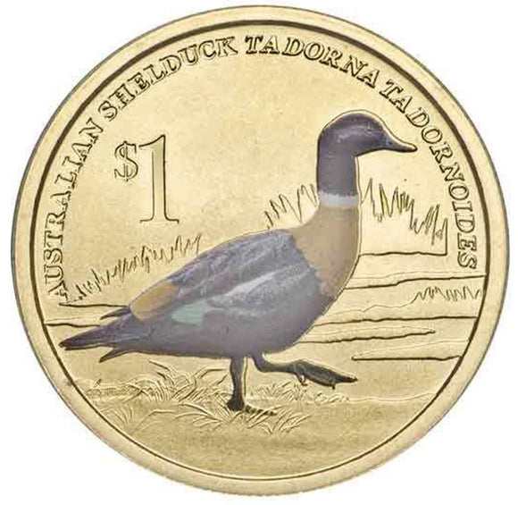 2013 $1 Australian Bird Shelduck