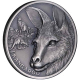 2021 Kangaroo $1 1oz Silver Antique Coin