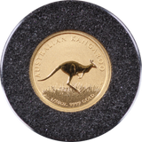 2008 Kangaroo 1/20oz Gold Coin