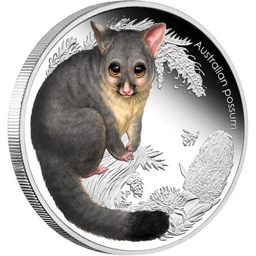 2013 Bush Babies II Possum 1/2oz Silver Proof Coin