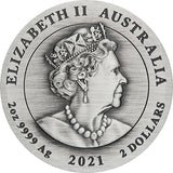 2021 Double Pixiu 2oz Antiqued Silver Coin