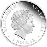 2013 Aurora Australis 1oz Silver Proof Coin