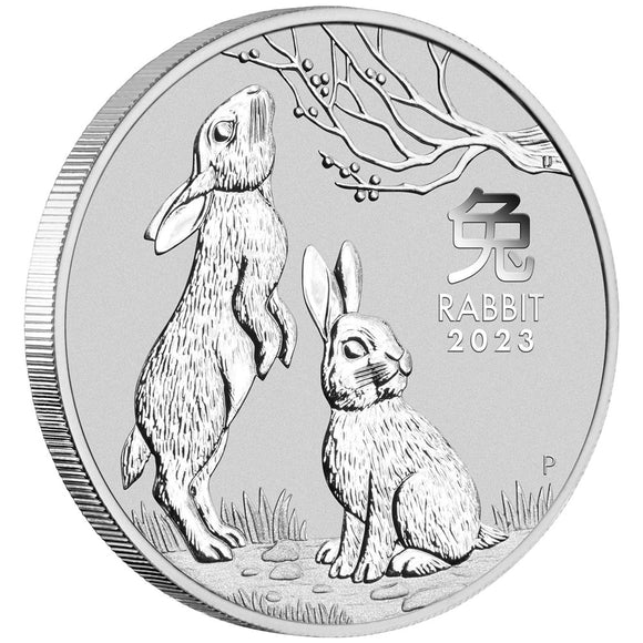 2023 2oz Silver Year of the Rabbit Coin