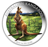 2014 World Money Fair Coloured Kangaroo 1oz Silver Proof Coin