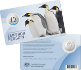 2023 50c Emperor Penguin Coloured Coin in Card