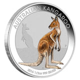 2016 Melbourne ANDA Kangaroo Coloured Silver 1/2oz Proof Coin