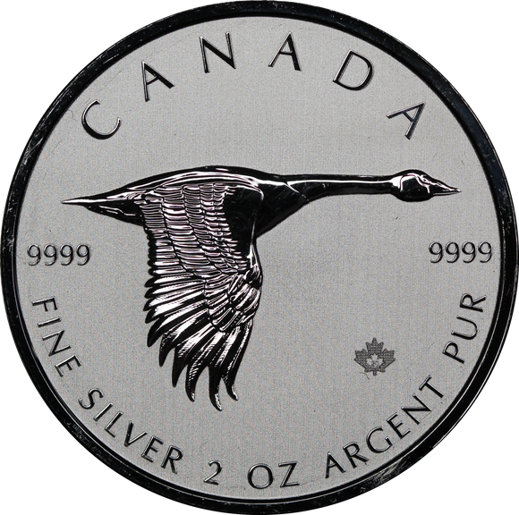 2020 Canada 2oz Silver Goose $10 Coin