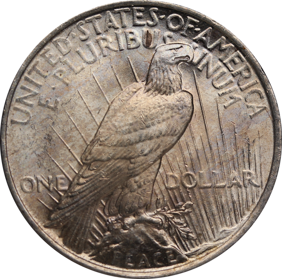 USA 1922 Silver Peace Dollar gVF
