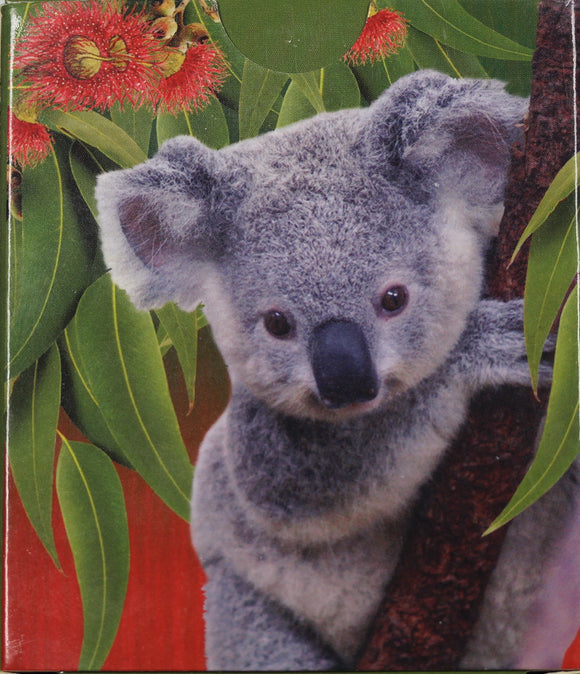 2011 Koala and Eucalyptus Silver Scented Coin