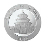 China 2020 Panda 30g Silver Coin