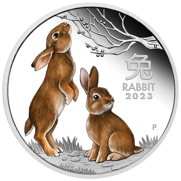 Lunar Series III 2023 Year of the Rabbit 1oz Coloured Silver Proof Coin