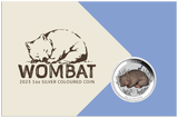 2023 Coloured Wombat 1oz Silver Coin in Card