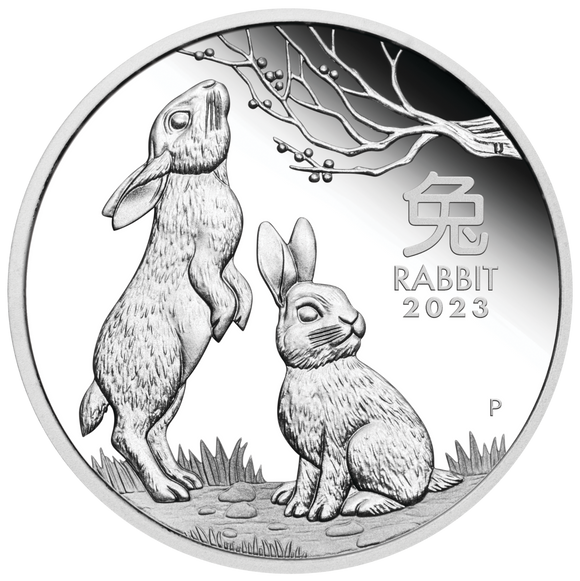 Lunar Series III 2023 Year of the Rabbit 1oz Silver Proof Coin