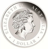 2013 Kookaburra 1oz Silver Coin