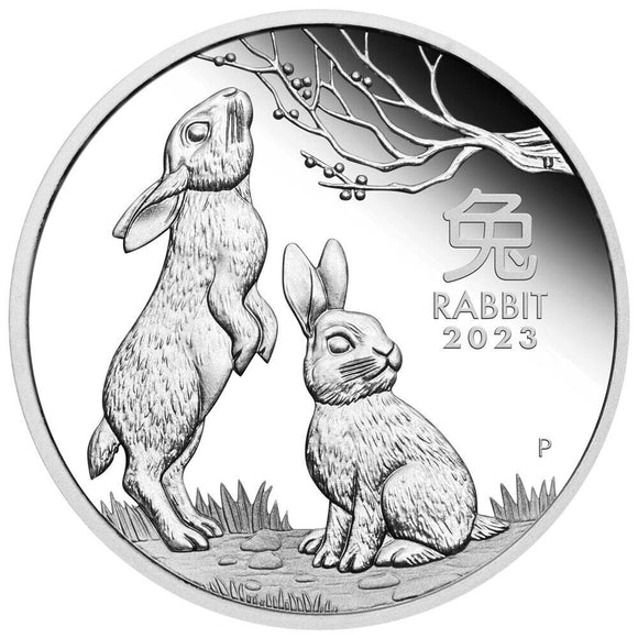 2023 1oz Silver Year of the Rabbit Coin