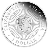 2023 Opal Rabbit 1oz Silver Proof Coin